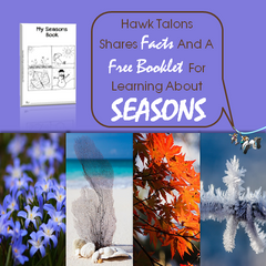Hawk Talons Shares Facts And A Free Booklet For Learning About Seasons