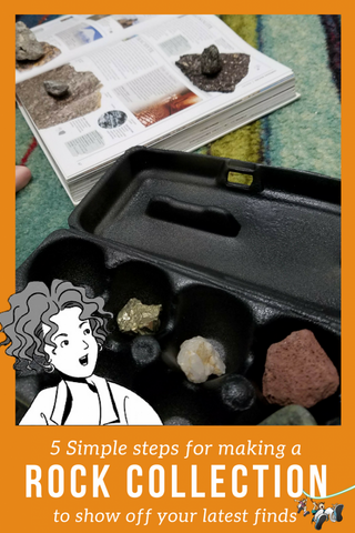 5 Simple steps for making a rock collection to show off your latest finds