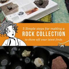 5 Simple steps for making a rock collection to show off your latest finds