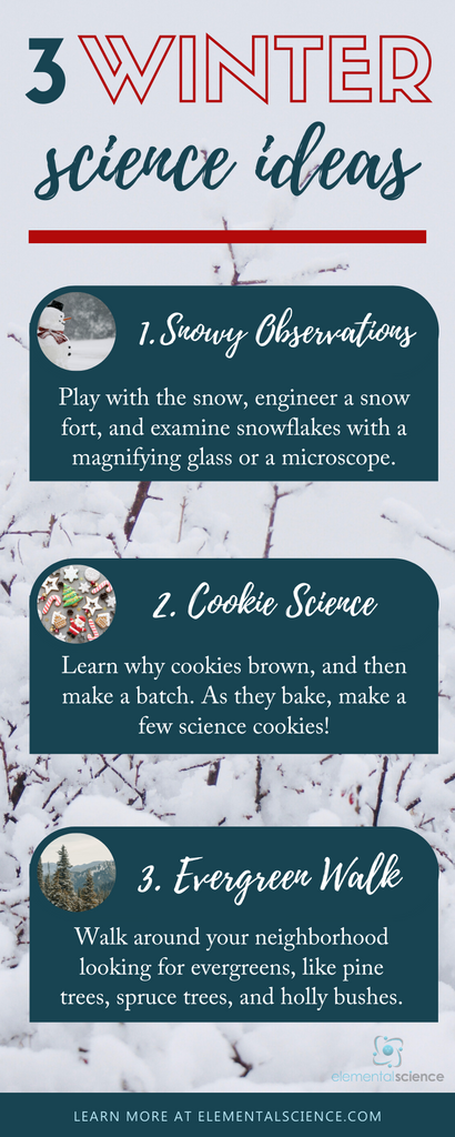 Learn some science this winter as you play with snow, back cookies, and take a walk to look for evergreens.