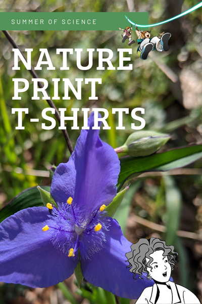 Nature Print T-shirts from Sassafras Science