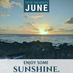 This June, enjoy some sunshine as you learn about science.