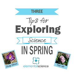 3 Tips for exploring science during spring