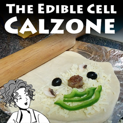 The Edible Cell Calzone
