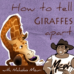 How to tell giraffes apart