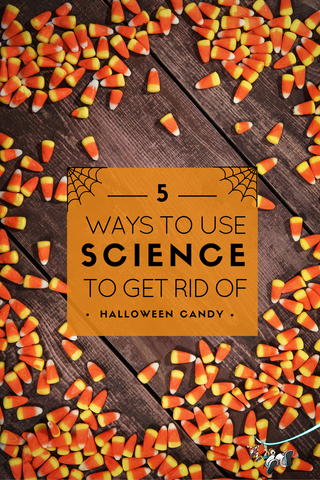 Pumpkin Candy Experiment - The Homeschool Scientist