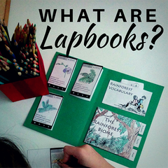 What are lapbooks?