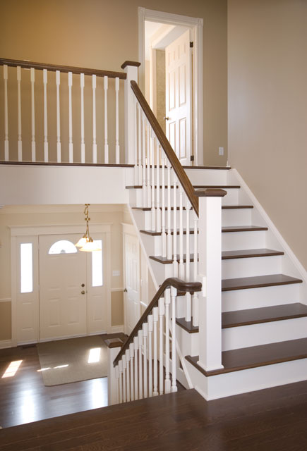 stairs with white risers and dark flooring