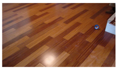 Color Variation in Hardwood Flooring