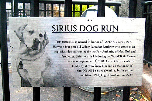 Symbolik rund um die Willkommenskultur Dog_Park_Sirius