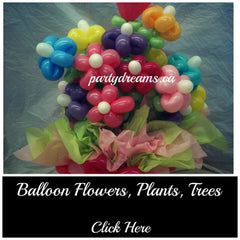 balloon flowers_surrey_vancouver