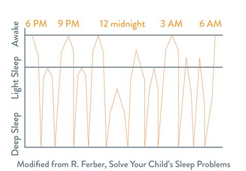 Adult Sleep Cycle Chart