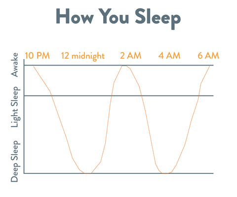 Adult Sleep Cycle - How You Sleep