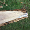 Live Edge Walnut Slab Coffee Table - touchGOODS