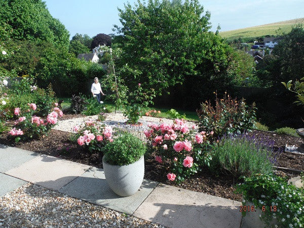 Using GroundTex Heavy Duty Weed Membrane and garden stones to reduce weeds - pic2