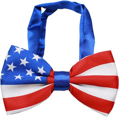 American Flag Bow Tie and Pin Set