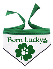 Born Lucky Irish Clover Themed Bandana Scarf with Charm - color Green/White