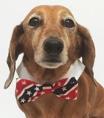 American Flag Stars and Stripes Bow Tie and Dress-up Shirt Collar With Pin