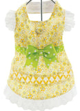 Yellow Daisies Floral and Lace Party Harness Dress with Charm and matching Leash for dogs