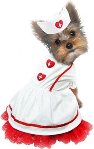 Sweet Nurse Florence Nightingale costume for dogs includes nurse's hat