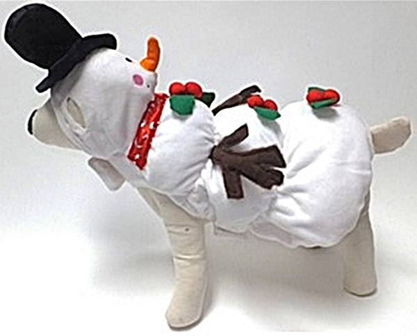dog snowman outfit