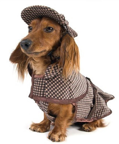 sherlock holmes outfit for dogs