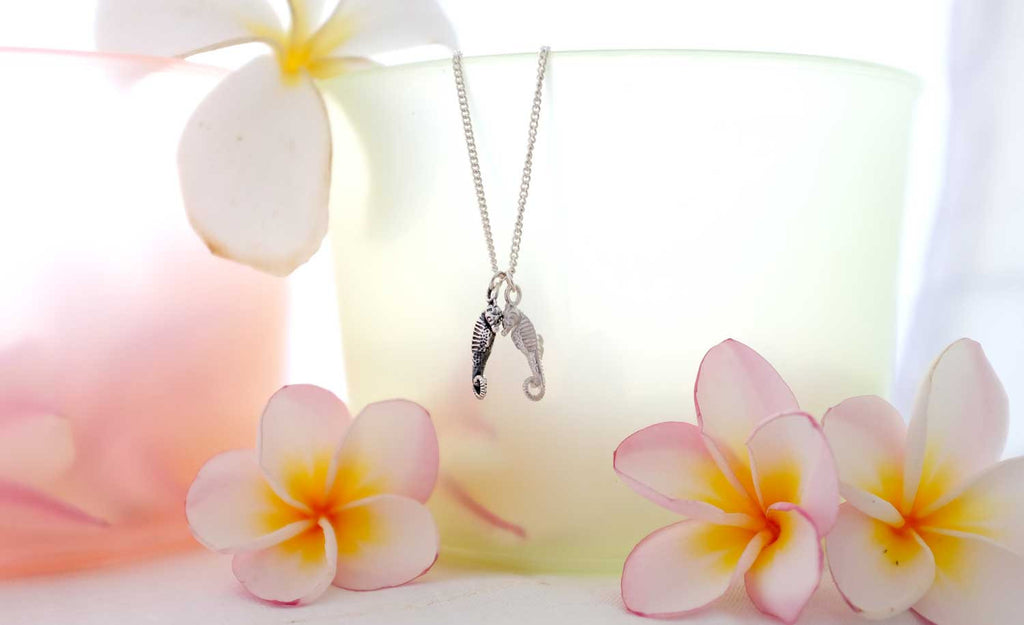 Seahorse friendship necklace