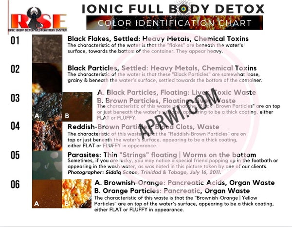 RiSE™ Ionic Body Detox System Unit (18 Amp Unit)