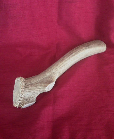 King Elk with Button Special order, pls contact