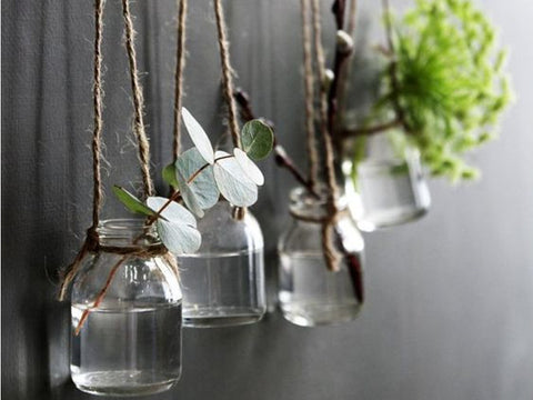 7 Fun Alternatives to Plant Pots