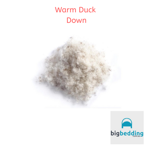 Warm Duck Down