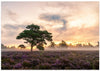 The tree on the heath.