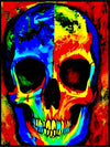 SkullX- Pop Artposter