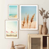 Beach dry grass in pastel colors - Poster - Plakatbar.no