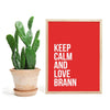 Brann - Keep Calm and Love Brann plakat - Plakatbar.no