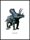 Håndtegnet dinosaur til barnerom - Triceratops - Design av Hugøy - Plakatbar.no