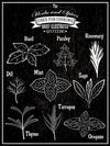 Herbs And Spices Guide - Poster - Plakatbar.no
