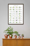 Herbs Guide - Poster - Plakatbar.no