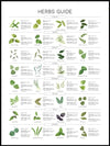 Herbs Guide - Poster - Plakatbar.no