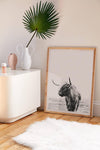 Highland Cow Poster - Plakatbar.no