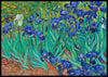 Iriser, Vincent Van Gogh - Plakat - Plakatbar.no