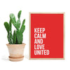 Manchester United - Keep Calm and Love United poster - Plakatbar.no