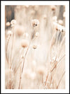 Pampas Grass - Poster - Plakatbar.no