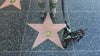 Shadow with Tom Hanks star