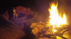 Weeti & Shadow enjoying the campfire