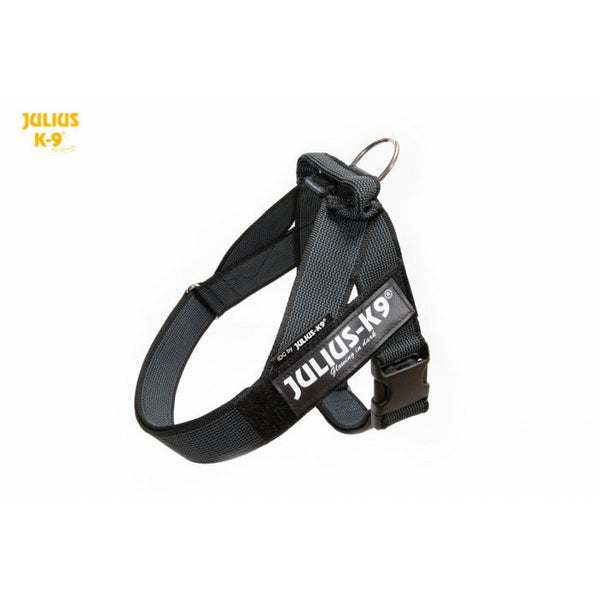 julius k9 harness sale