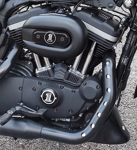 Sportster Engine with black stainless steel bolts