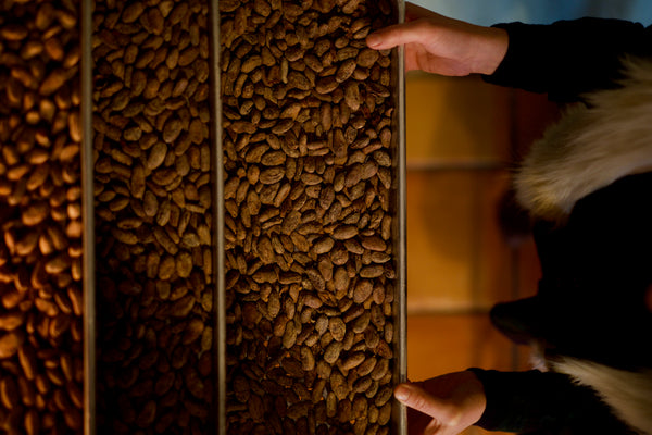 Roasting Cacao Beans 