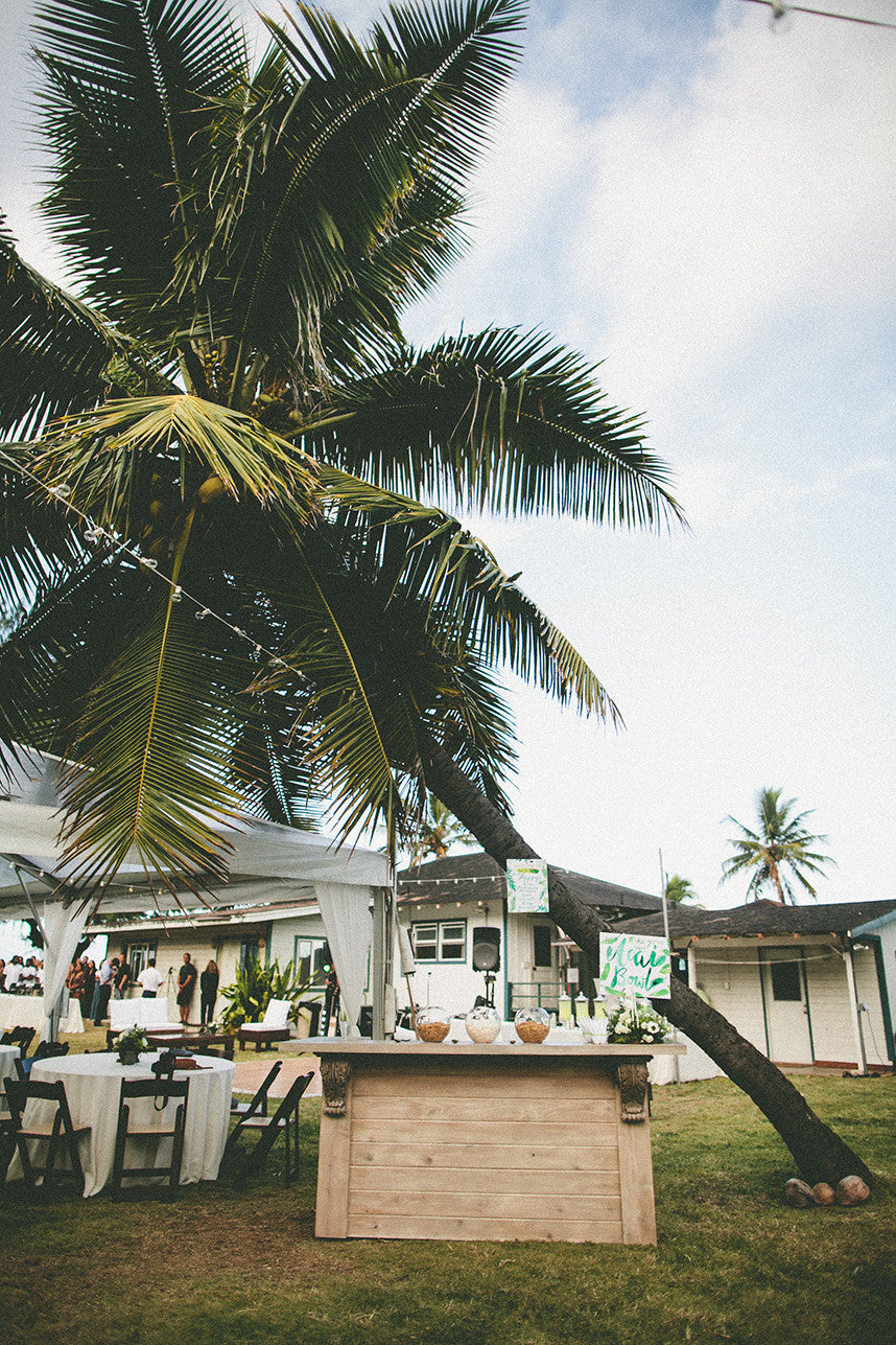 Hawaii Palm Tree Destination Island Wedding
