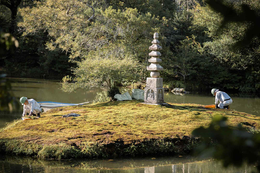 kinkaku-ji temple in japan workers on hands and knees taking care of the garden